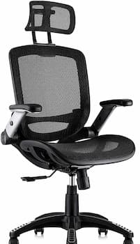 Gabrylly-Ergonomic-Mesh-High-Back-Desk-Office-Chair.jpg
